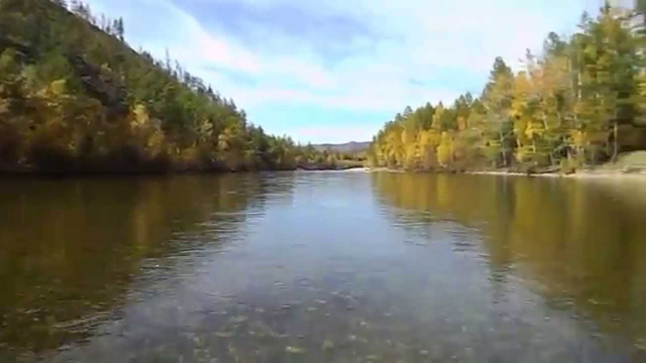 Темник