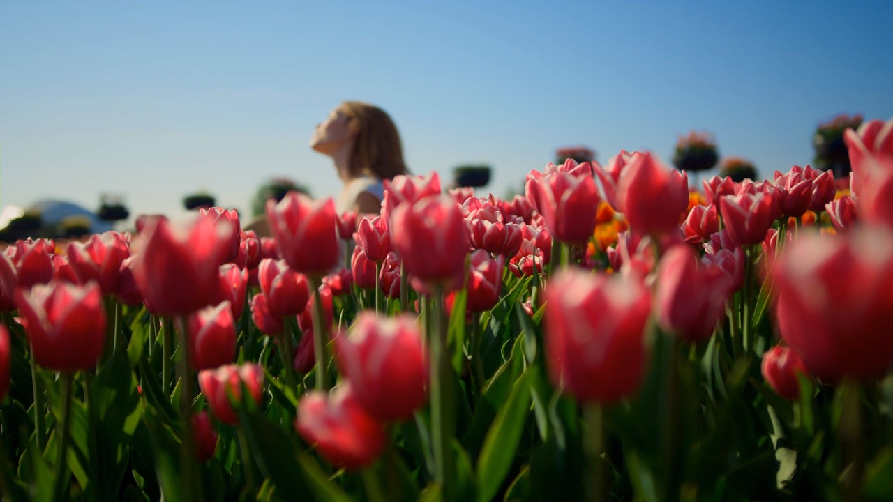 🌿 Eine kleine Frühlingsgeschichte...............
