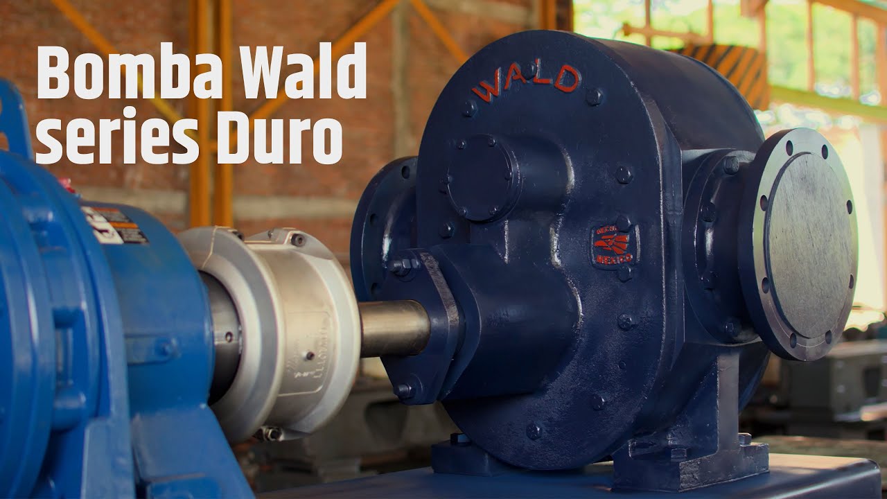 Bomba Wald Duro 60