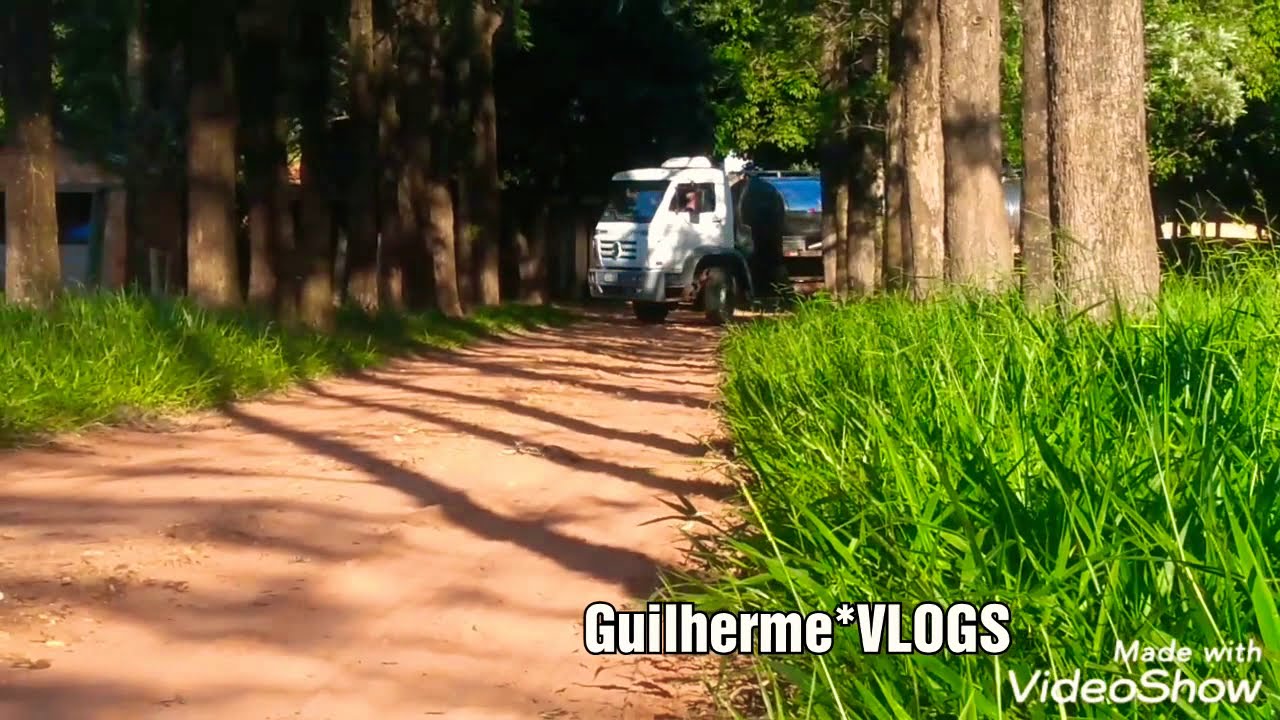 Fusc&atilde;o leiteiro