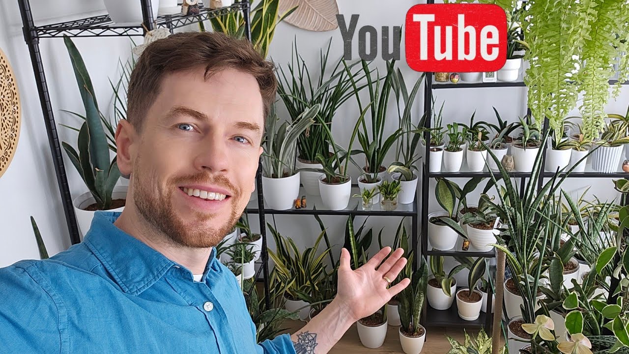 Actualización de mi jungla urbana. Plantas nuevas, ideas nuevas y mucho más. 