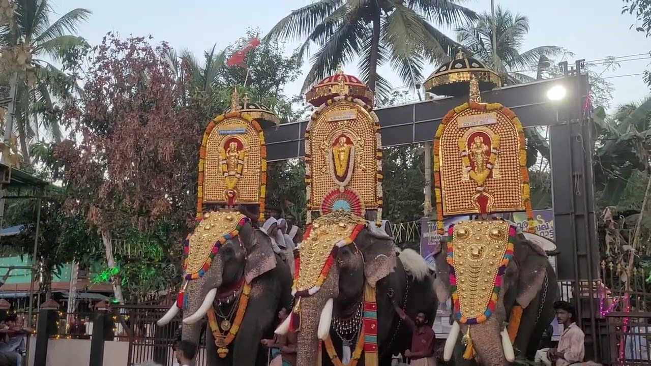 മുണ്ടൂർ പൂരം സീനിയേഴ്സ് പഞ്ചവാദ്യം ജനുവരി 11 2026