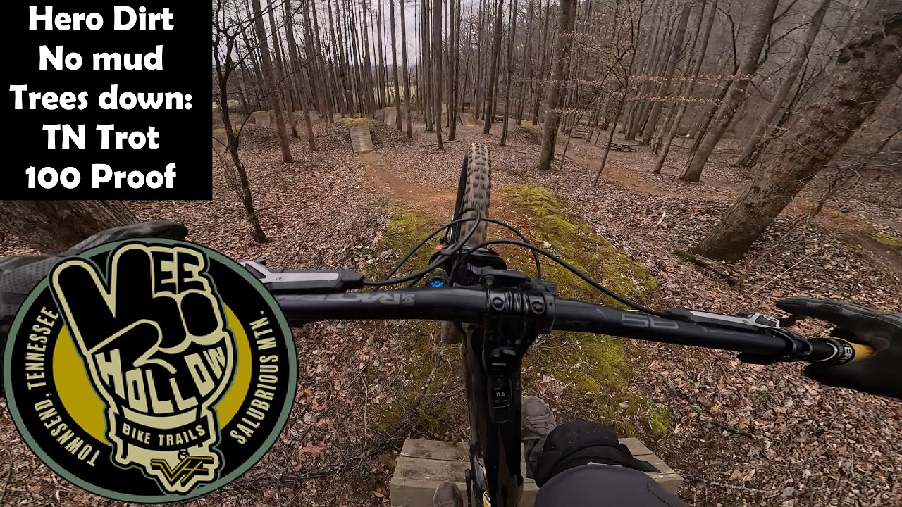 Riding All the Trails at Vee Hollow --conditions were dirt perfect and a few trees down