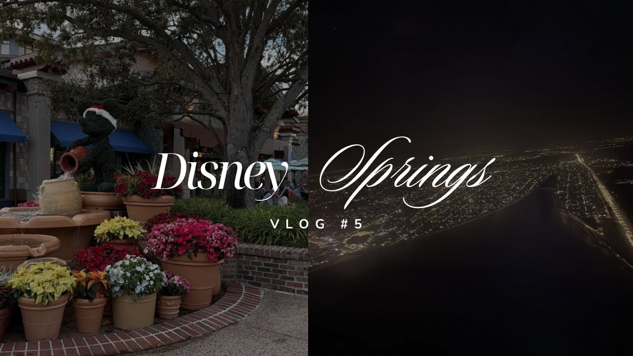 ESTUVIMOS UN DIA ENTERO ADENTRO DE WALTMART + mini haul | orlando vlog 1