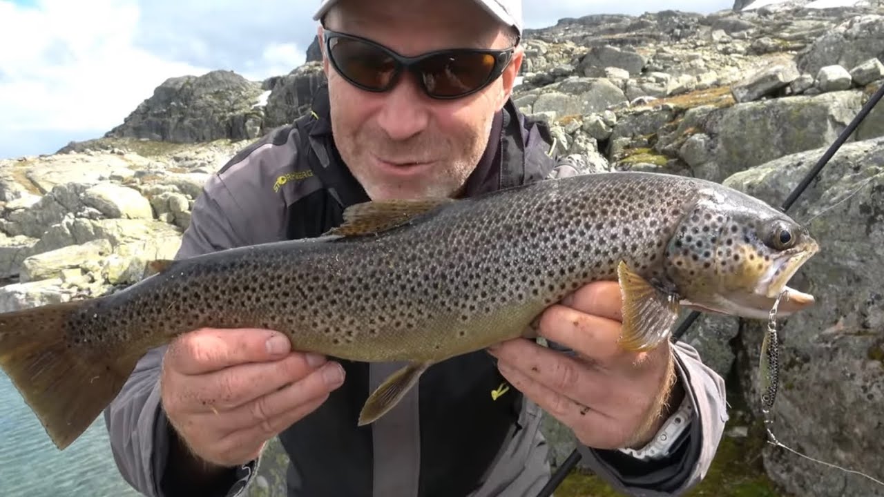 På nye ørreteventyr i fjellheimen