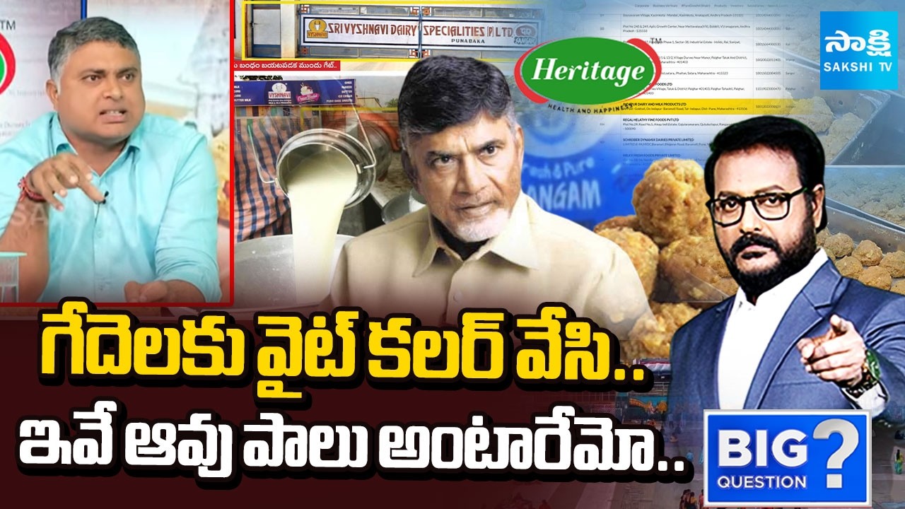 Analyst Indraneel Gives Clarity on Sangam & Vaishnavi Dairy Scams | Big Question | Sakshi TV