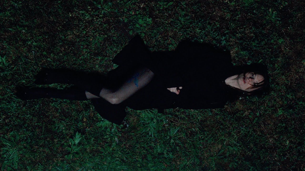 Rosa Damask &ndash; Adore You
