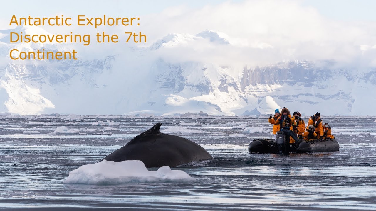 Discovering the 7th Continent: Antarctic voyage on board of World Explorer. Part 4 - Wildlife