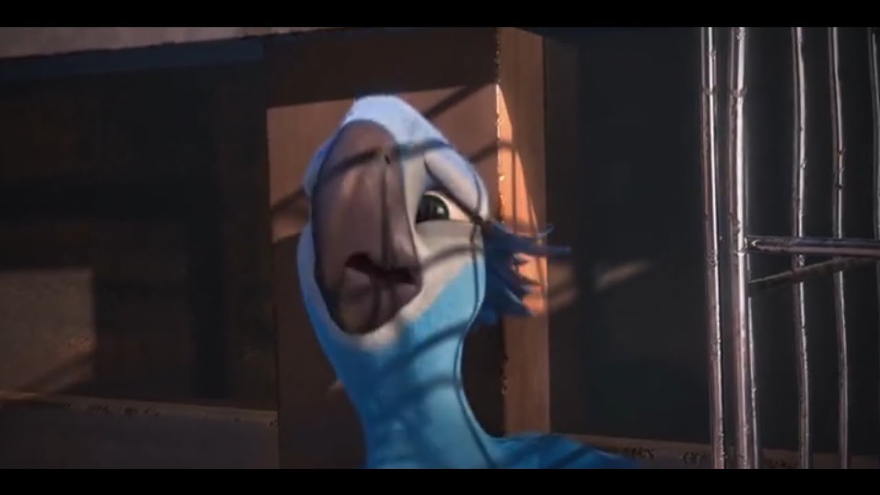 Río (2011) Blu VS Pepillo (Español Latinoamérica)