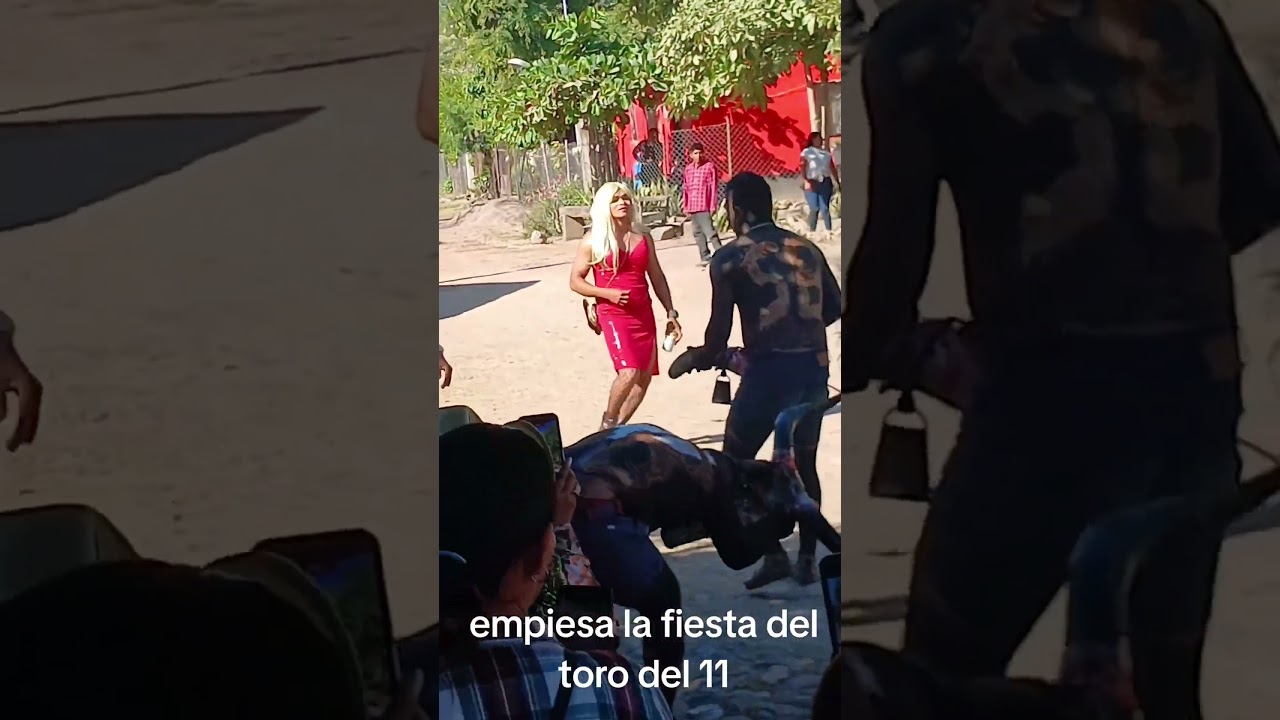 fiesta del toro del 11 