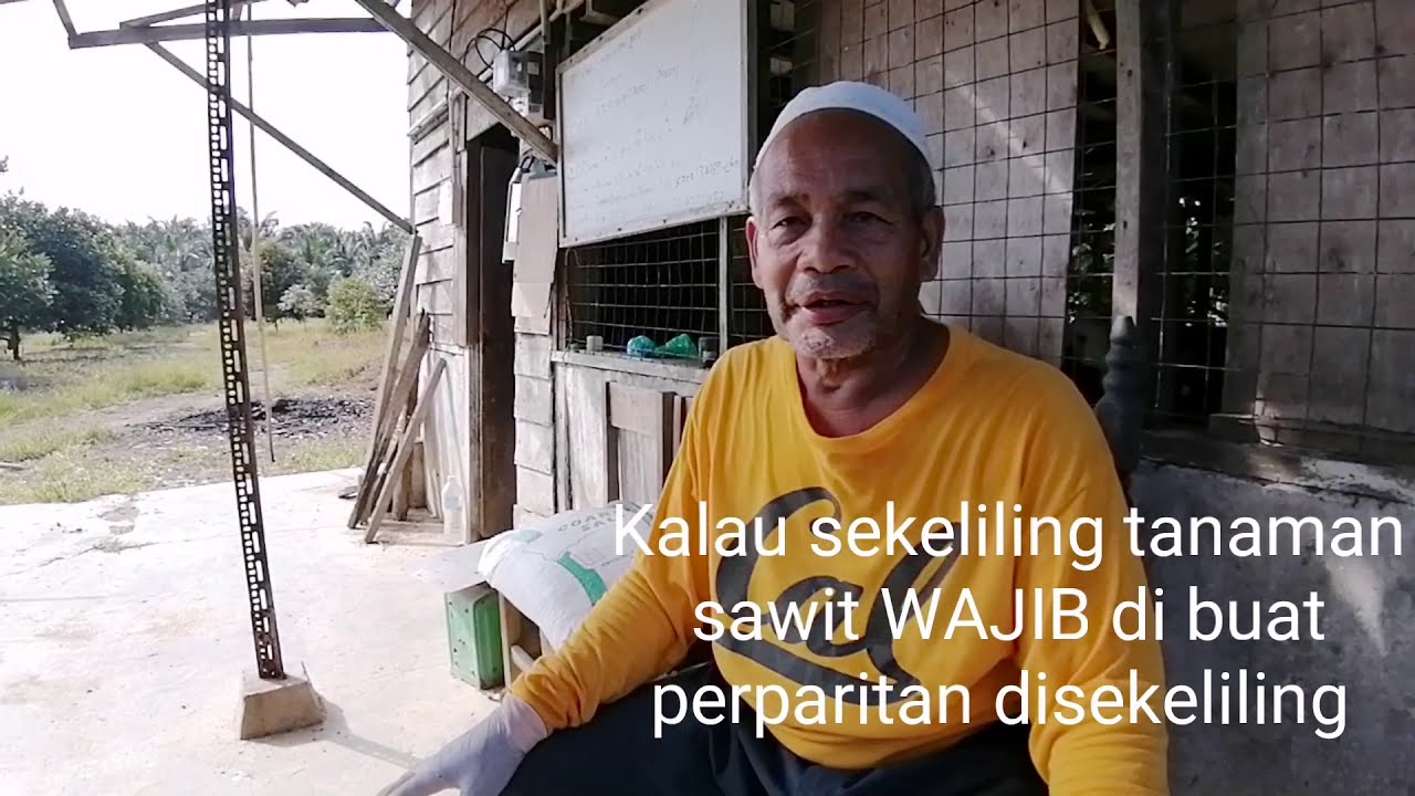 Sifu Durian BAB 4 | Berapakah KOS Menanam Durian?
