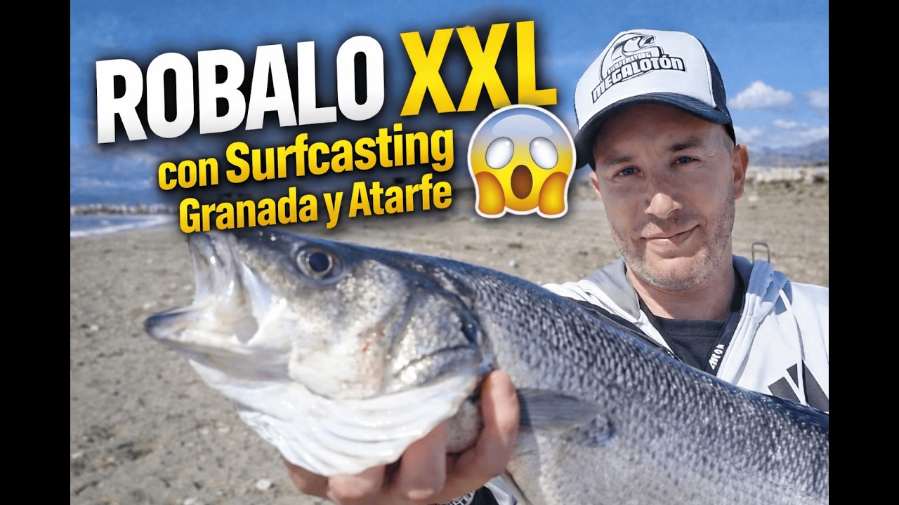 ROBALO XXL con Surfcasting Granada y Atarfe