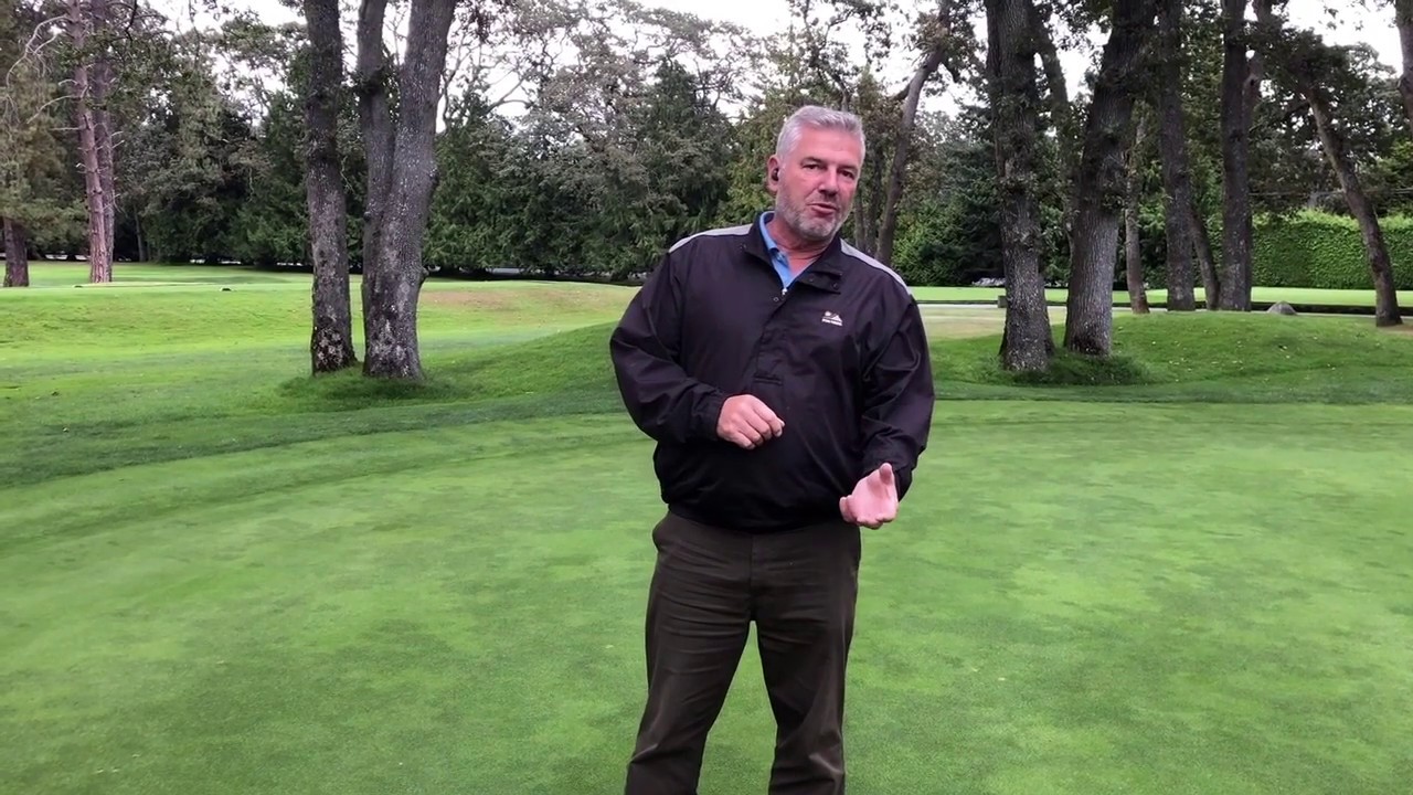 Anthracnose Fuliar Blight