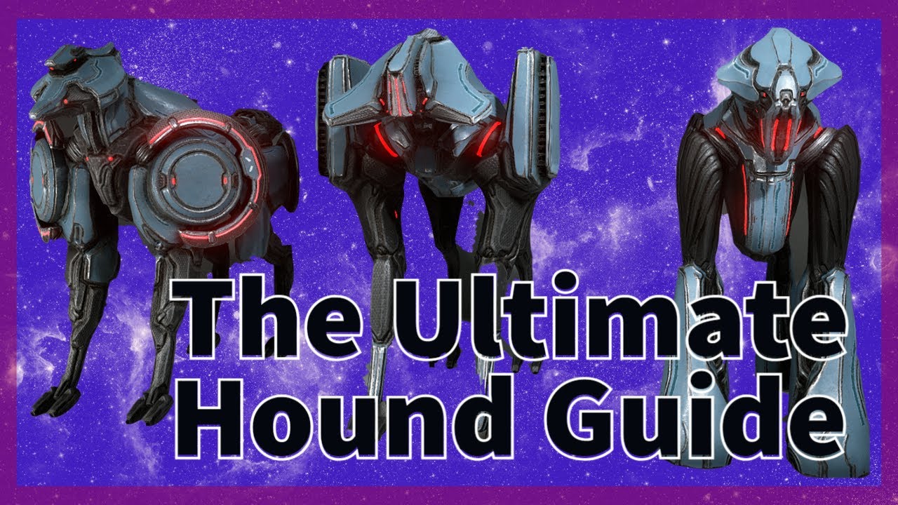 The Ultimate Hound Guide | Sisters of Parvos