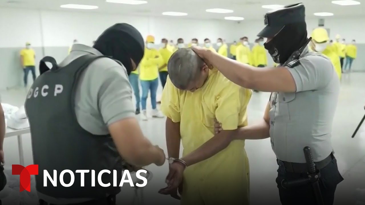 Venezolanos enviados a El Salvador podr&aacute;n regresar a EE.UU | Noticias Telemundo