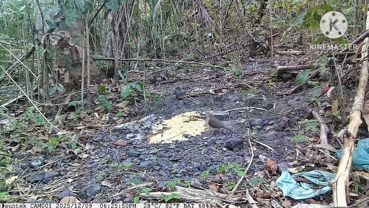 18 de fevereiro de 2026