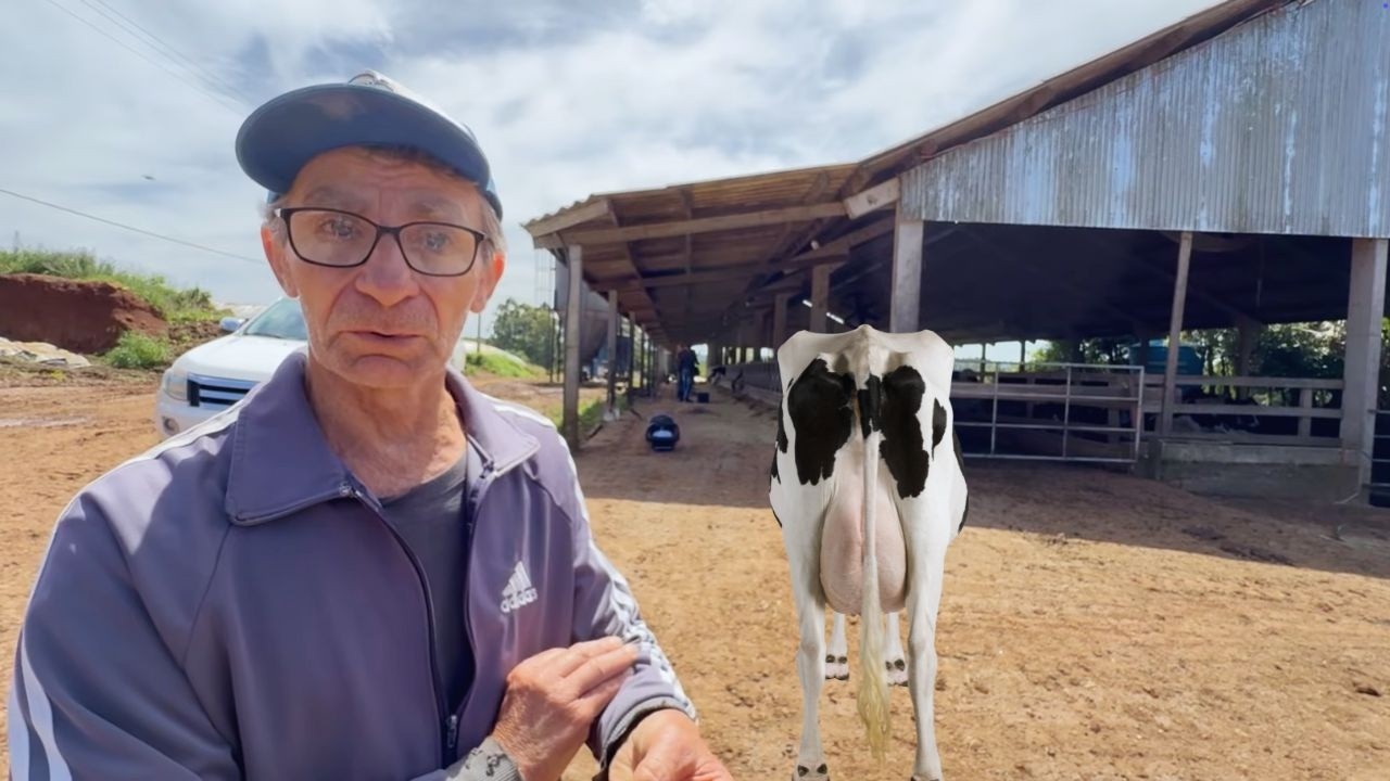 44 VACAS PRODUCIENDO 40 LITROS/DÍA: LO QUE ESTA FAMILIA HIZO QUE LO CAMBIÓ TODO – HACIENDA AZEREDO