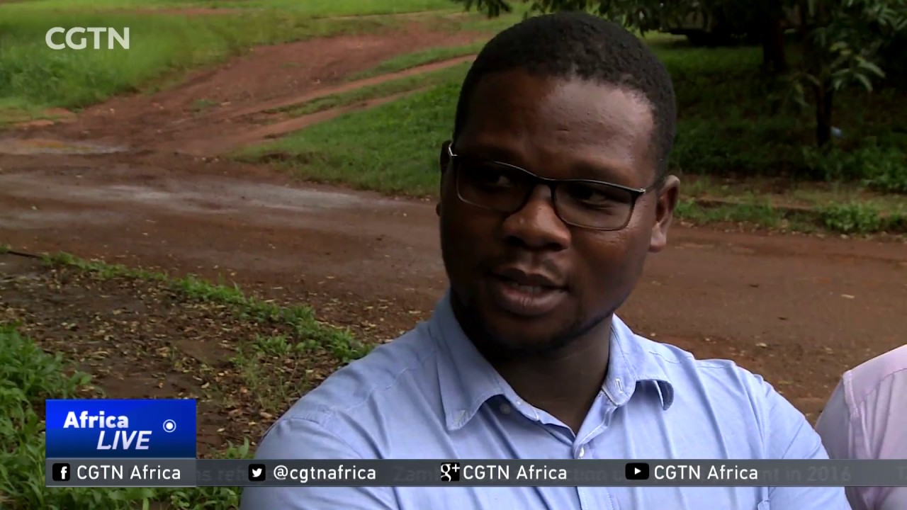 Junior doctors in Zimbabwe protest against freeze in allowances
