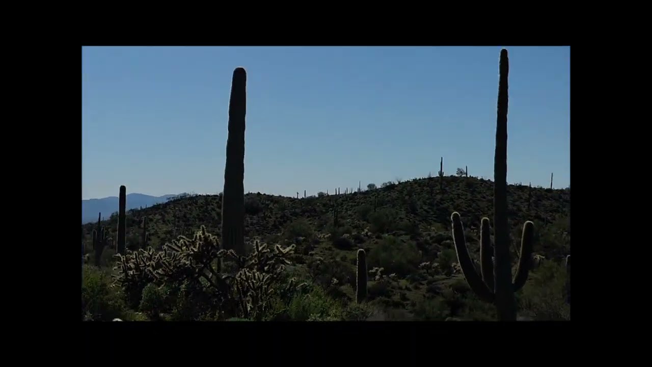 Wickenburg trail ride Vulture Mountains