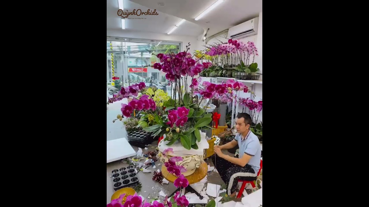 Cách làm một chậu hoa Lan Hồ Điệp 50 cành cắm tròn