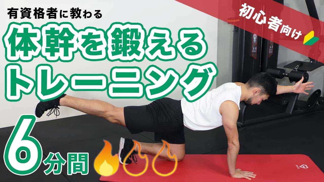 【レベル1】体幹を鍛えるトレーニング｜初心者の方にオススメ！【6分間】