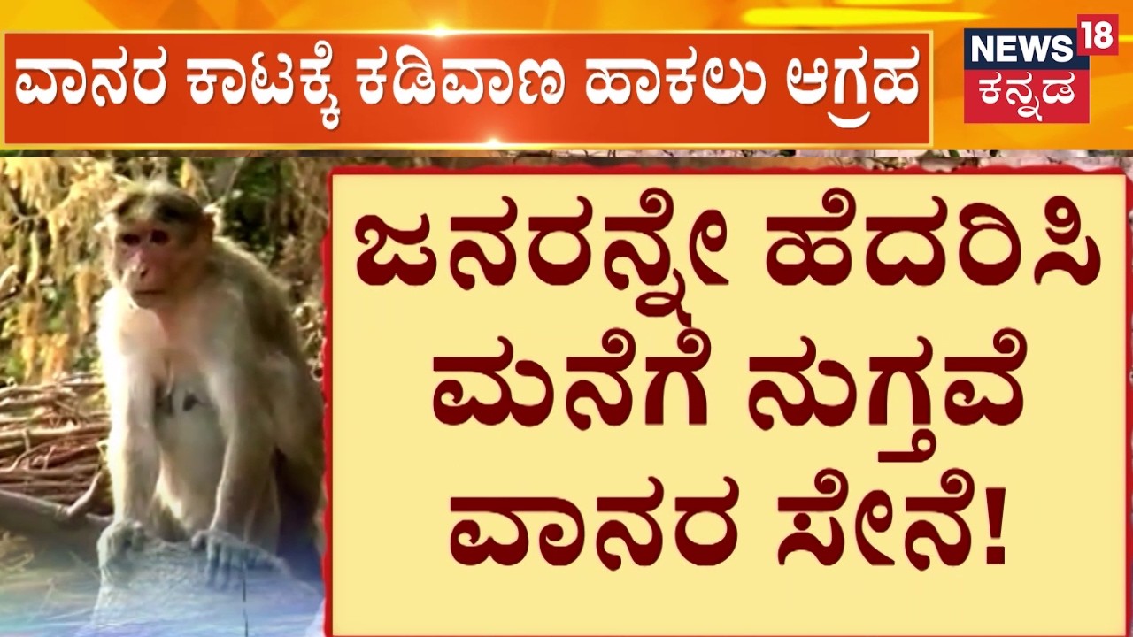 Yadagiri Monkey's Problem | ಕೋತಿಗಳ ಕಾಟಕ್ಕೆ ಬೇಸತ್ತ ಗ್ರಾಮಸ್ಥರು