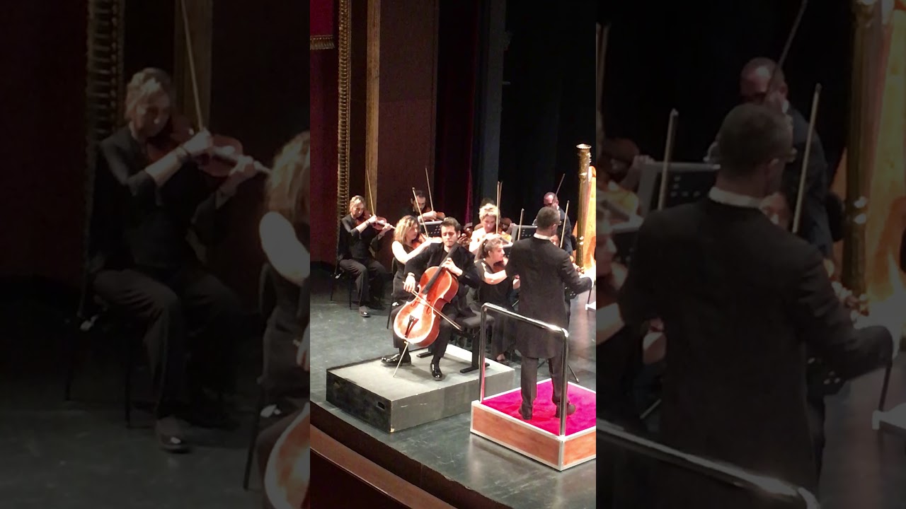 Poyraz Baltacıgil: Antonin Dvorak - Waldesruhe