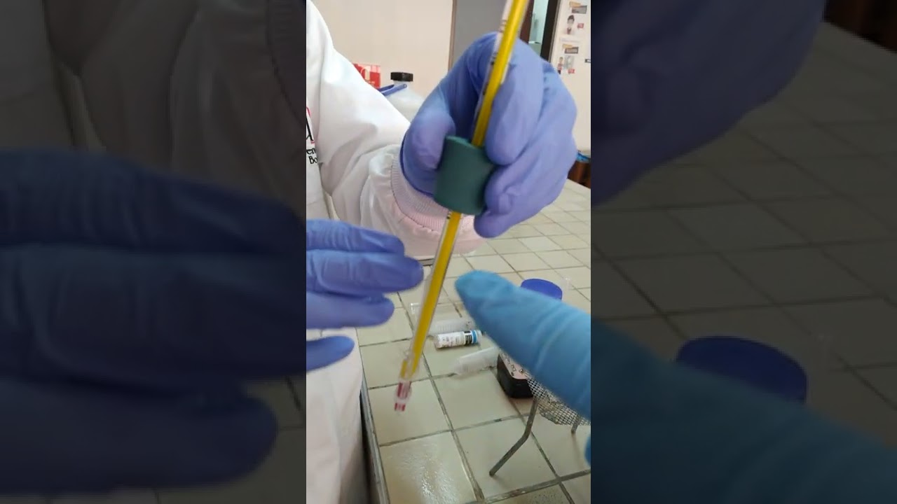 determinación del punto de ebullición con tubo de tihele.