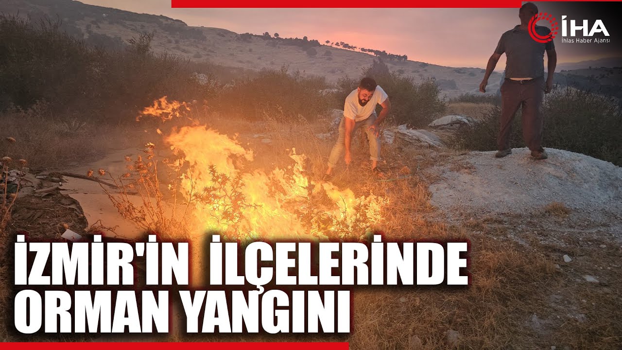 İzmir'in Tire ve Bayındır İlçelerinde de Orman Yangını Başladı