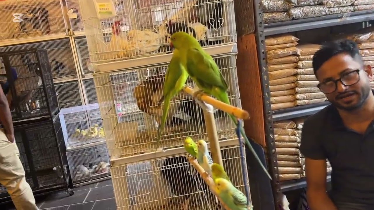 TOUR @ DOHA SOUQ WAQIF