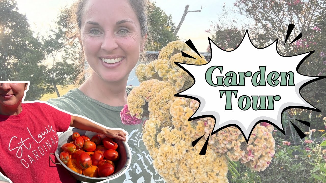 Garden Tour: What’s left of my Summer Garden