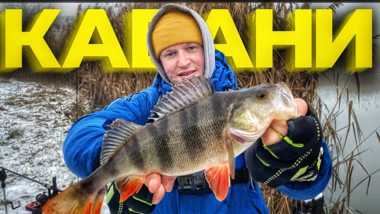 ОКУНІ Як КАБАНИ На Спінінг! Зимова РИБАЛКА На Спінінг!