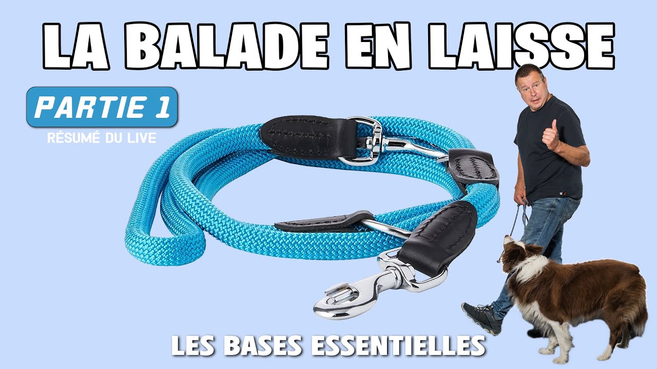 LA BALADE EN LAISSE - 1