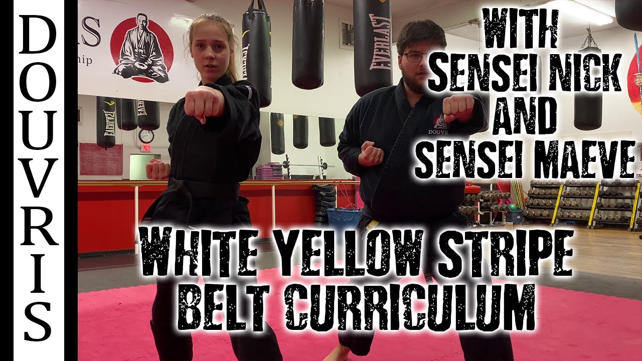 White Yellow Stripe Belt Curriculum - DOUVRIS ORLEANS