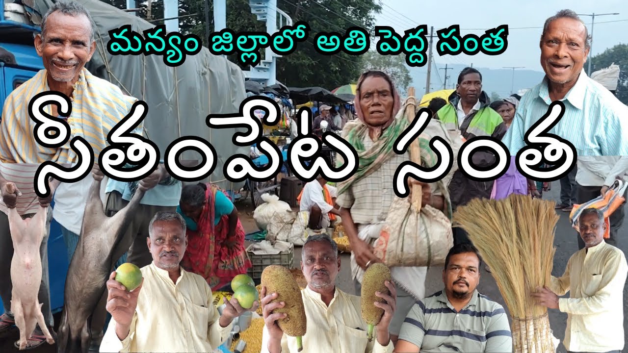 Seethampeta Santha | Manyam District Market Tour | Seethampeta Bazaar Insights