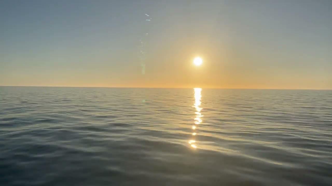 Bottlenose Dolphin at Sunset: Off Cayo Costa State Park, Florida