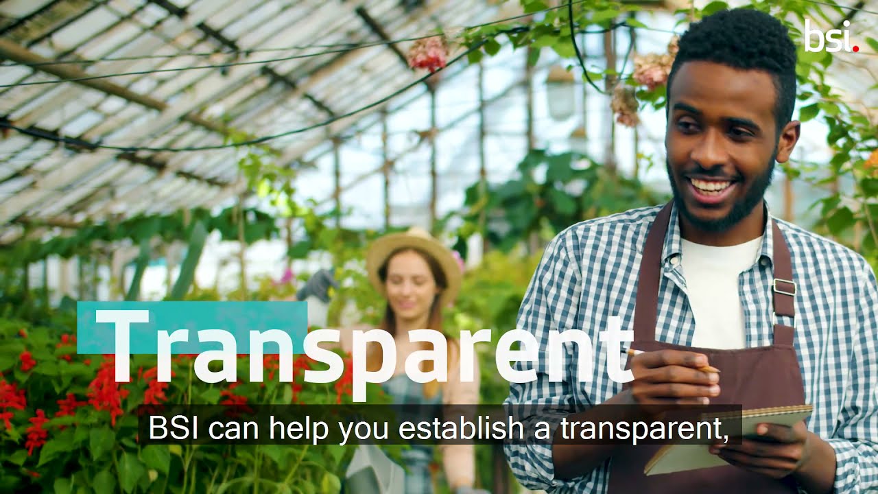 Embed sustainable resilience in your supply chain with BSI