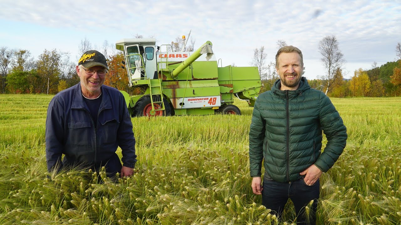 CLAAS DOMINATOR 48 | Benjamin og Vegard Hykkerud