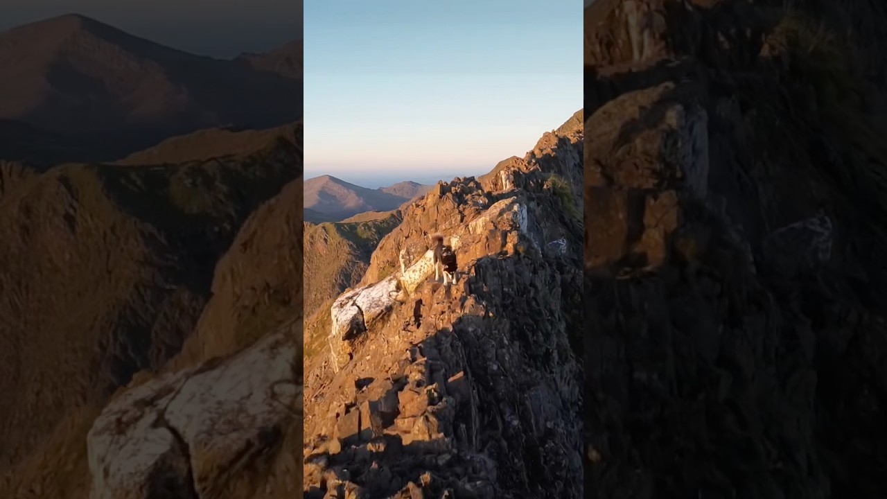 🐺💪🏽 #mountains #mountainsports #mountainclimbing #mymountainhusky