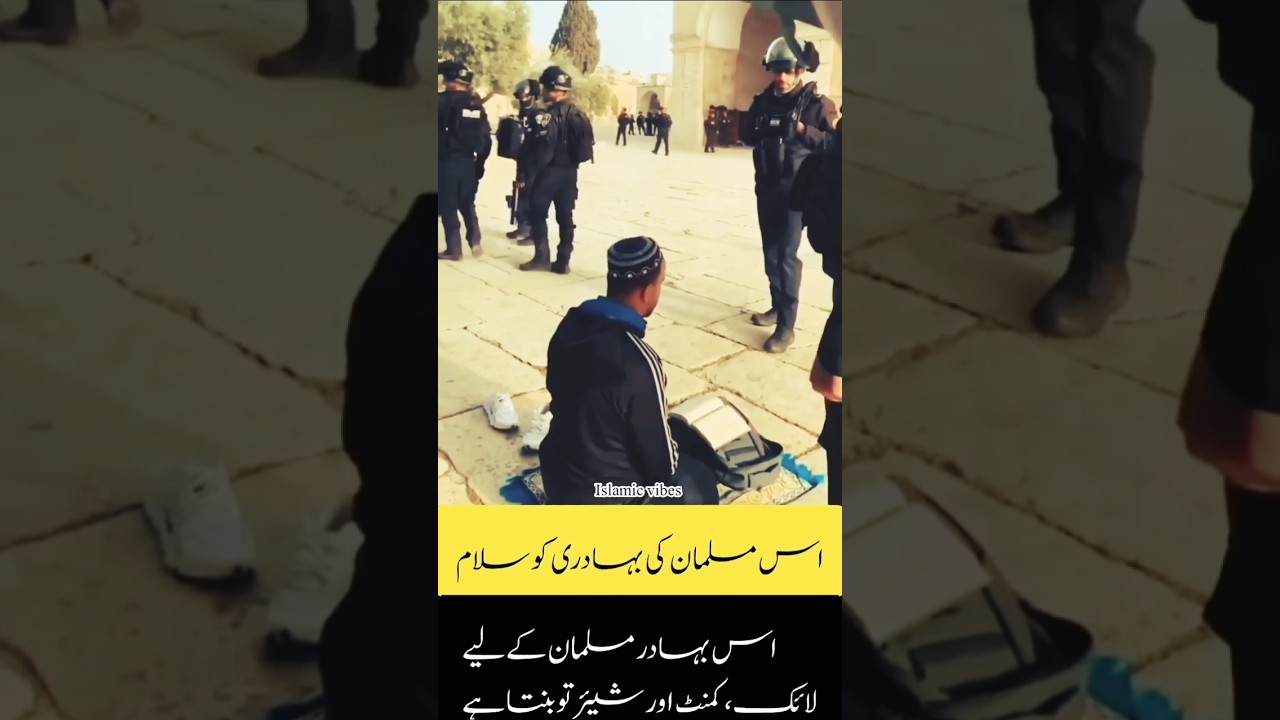 Brave Muslim #islamicshorts #quran #palestine #trending