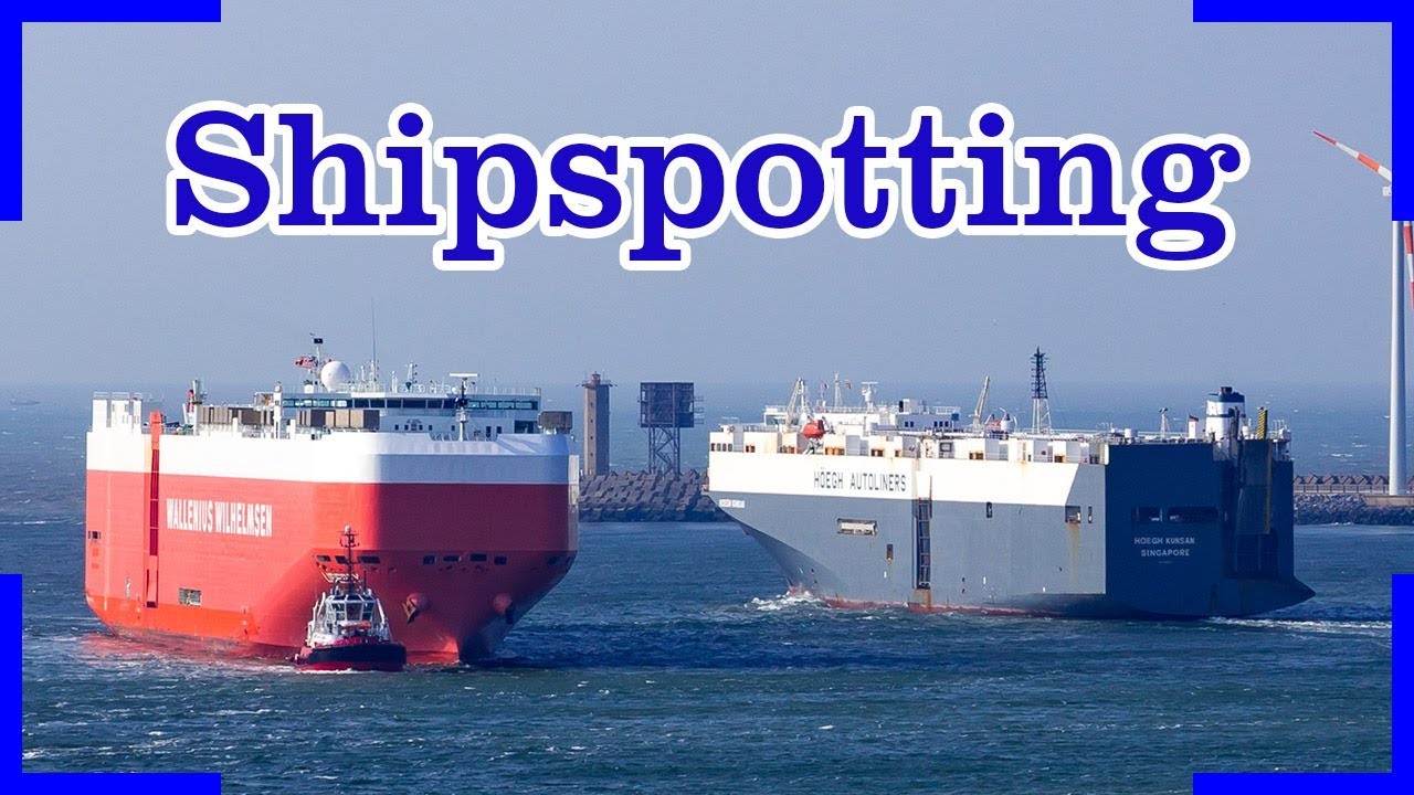 Shipspotting in Zeebrugge | Carcarrier, Pilot Vessel, Containerships, RoRo...