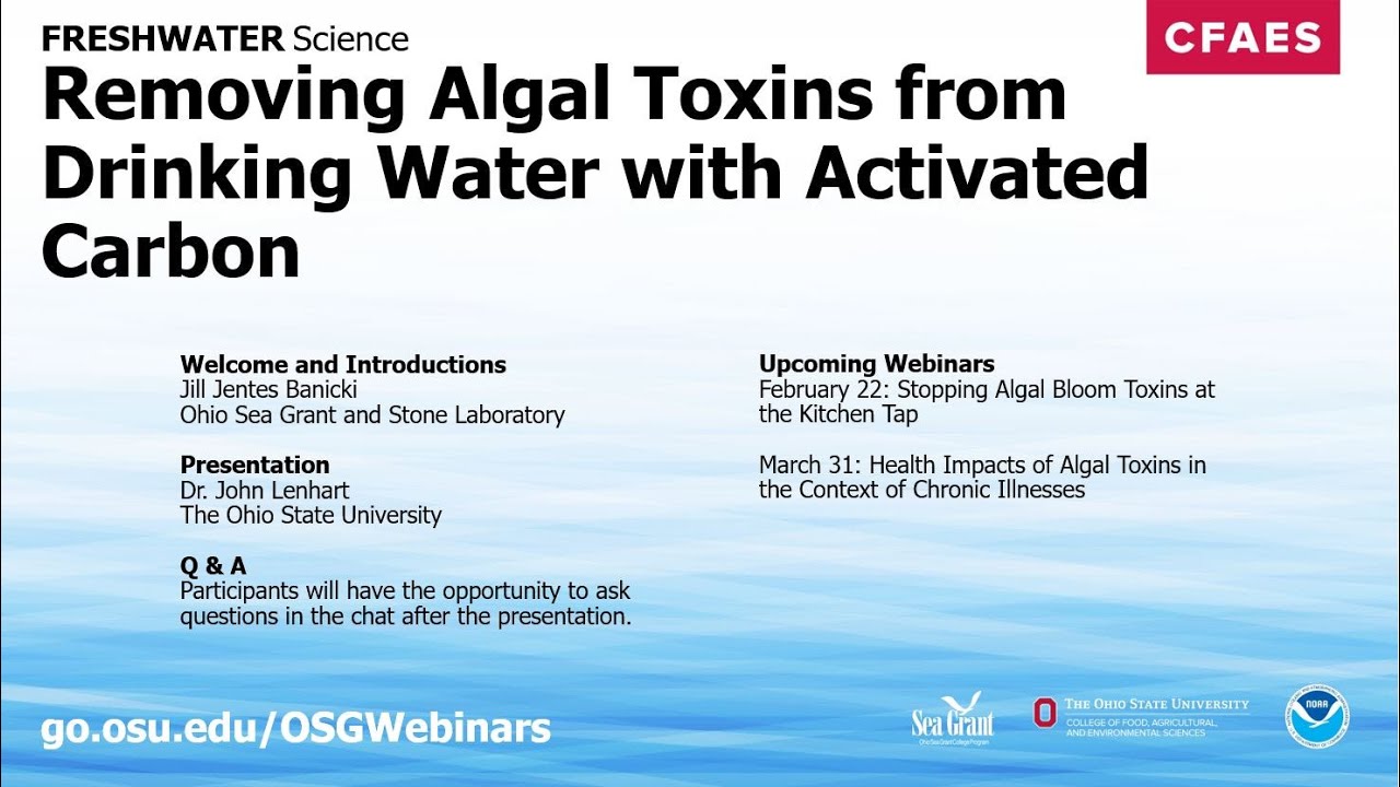 Freshwater Science: Removing Algal Toxins from Drinking Water with Activated Carbon