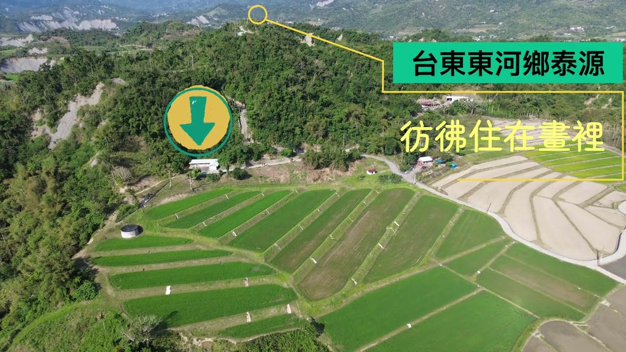 （法拍件）東河法落安，未保登44坪，第一拍底價45萬，保證金14萬￼｜代標專線0952-686-970盧榮昌
