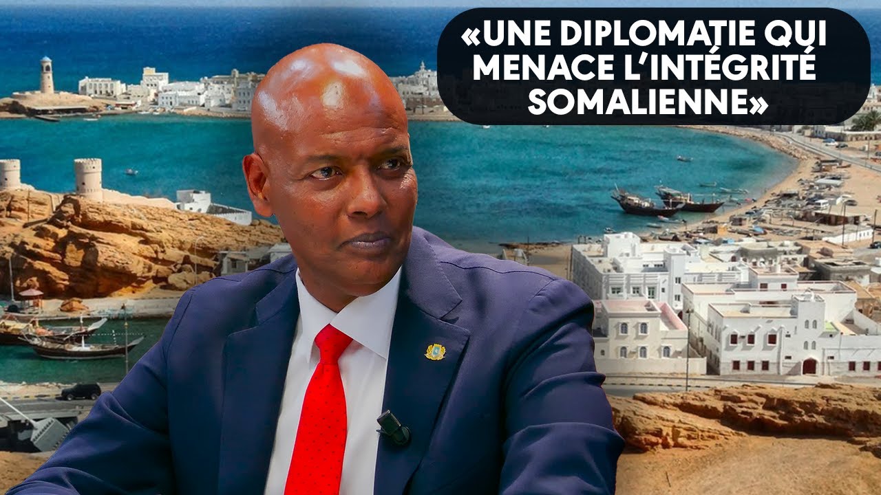 Somalie et Somaliland : à qui profite la division territoriale ? - Afrodroit