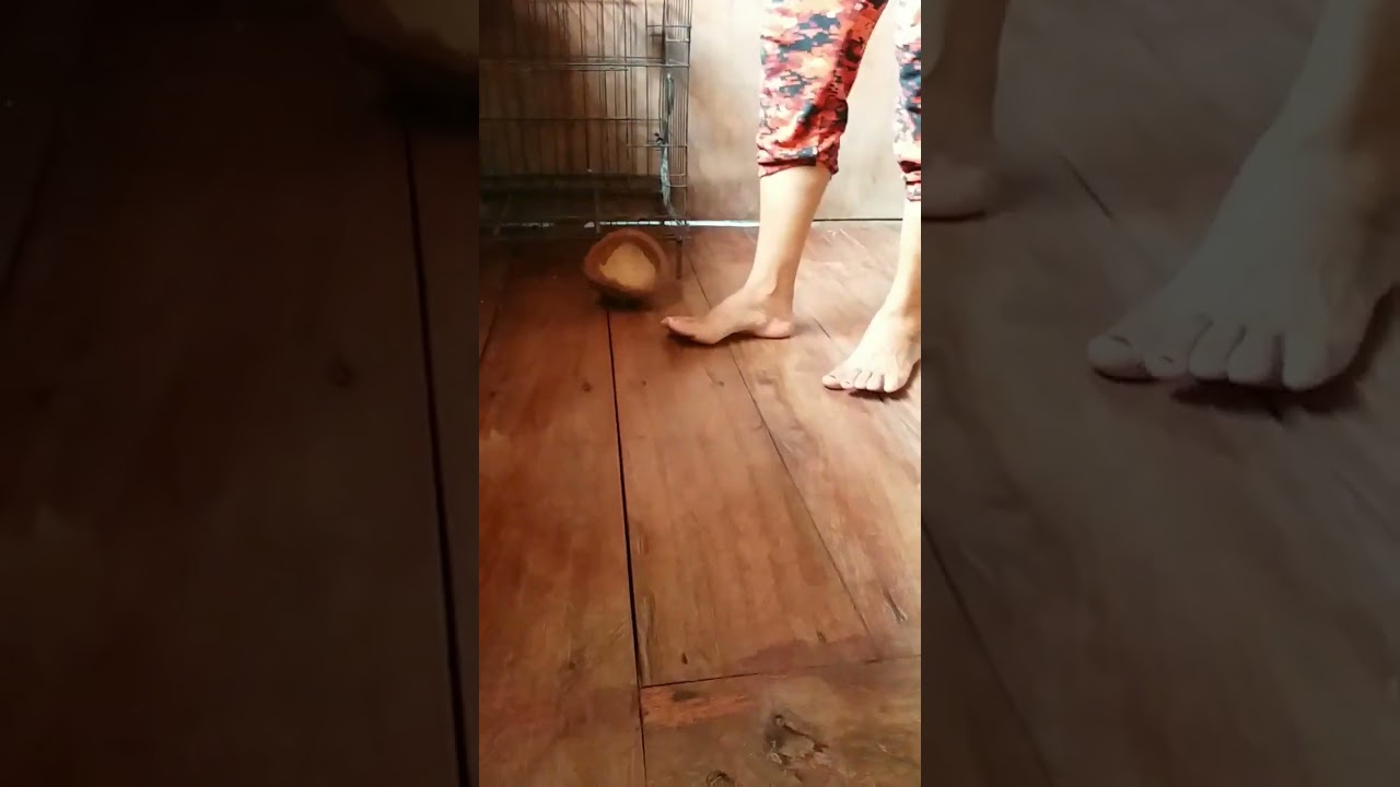 Traditional floor polisher.(BUNOT)☺☺#shorts #vacuum #biliran