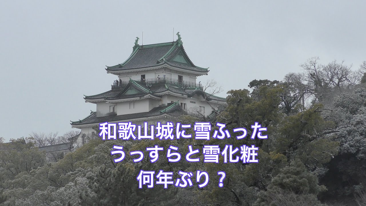 和歌山城に雪ふった。何年ぶりやろ。1分40秒