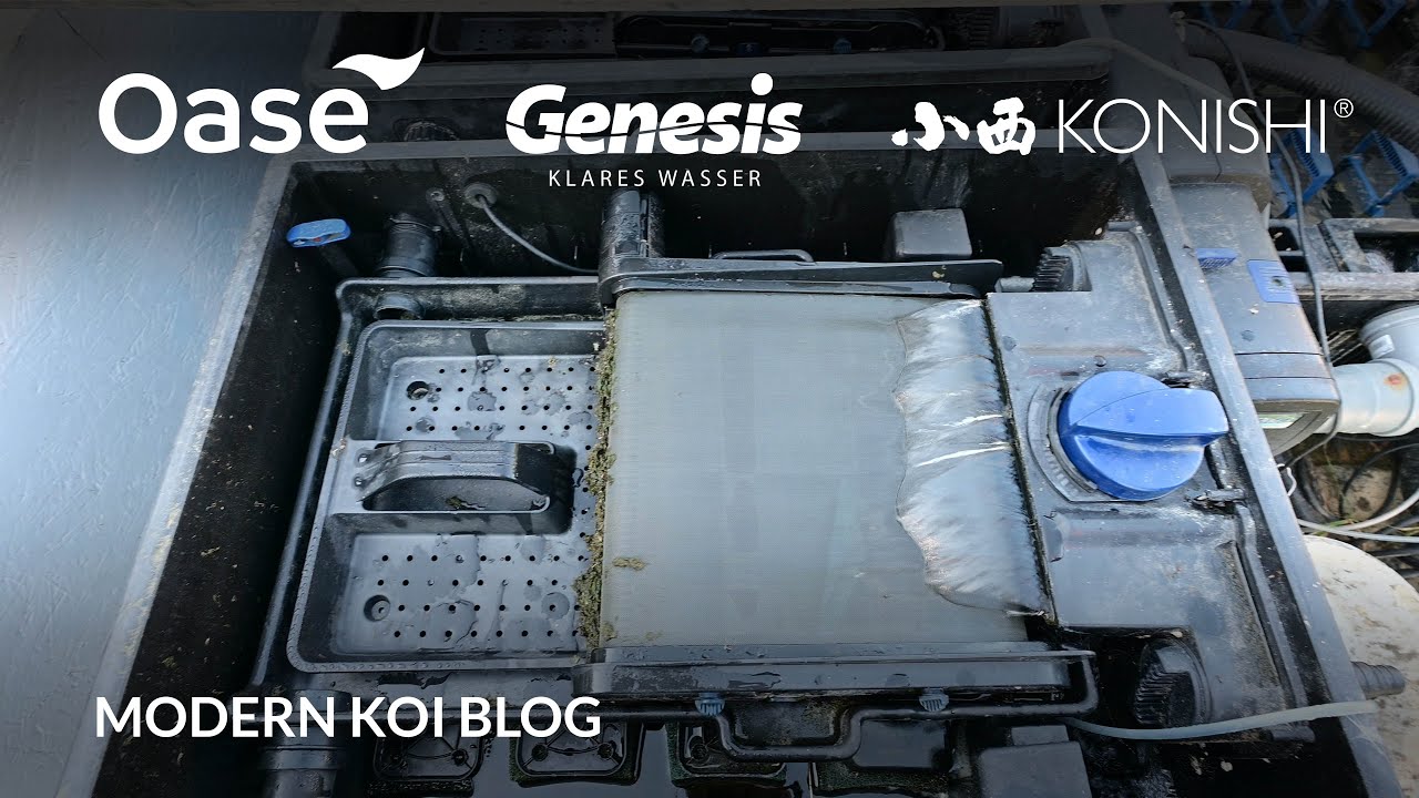 Modern Koi Blog #5501 - Rudis einfache aber funktionierende  Filteranlage