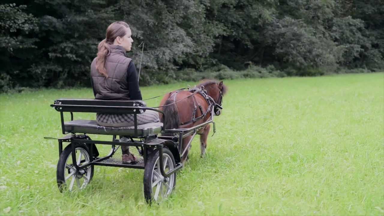 [Pferde] Shetlandpony Muffin zieht Sulky