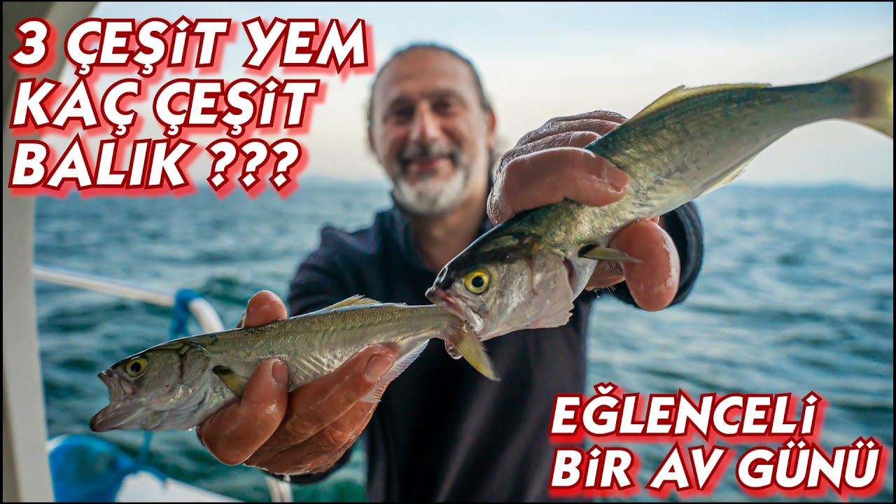 Çapari, Teke, Karides ve Hamsiyi Yem Yaptık - Kaç Çeşit Balık Aldık ?