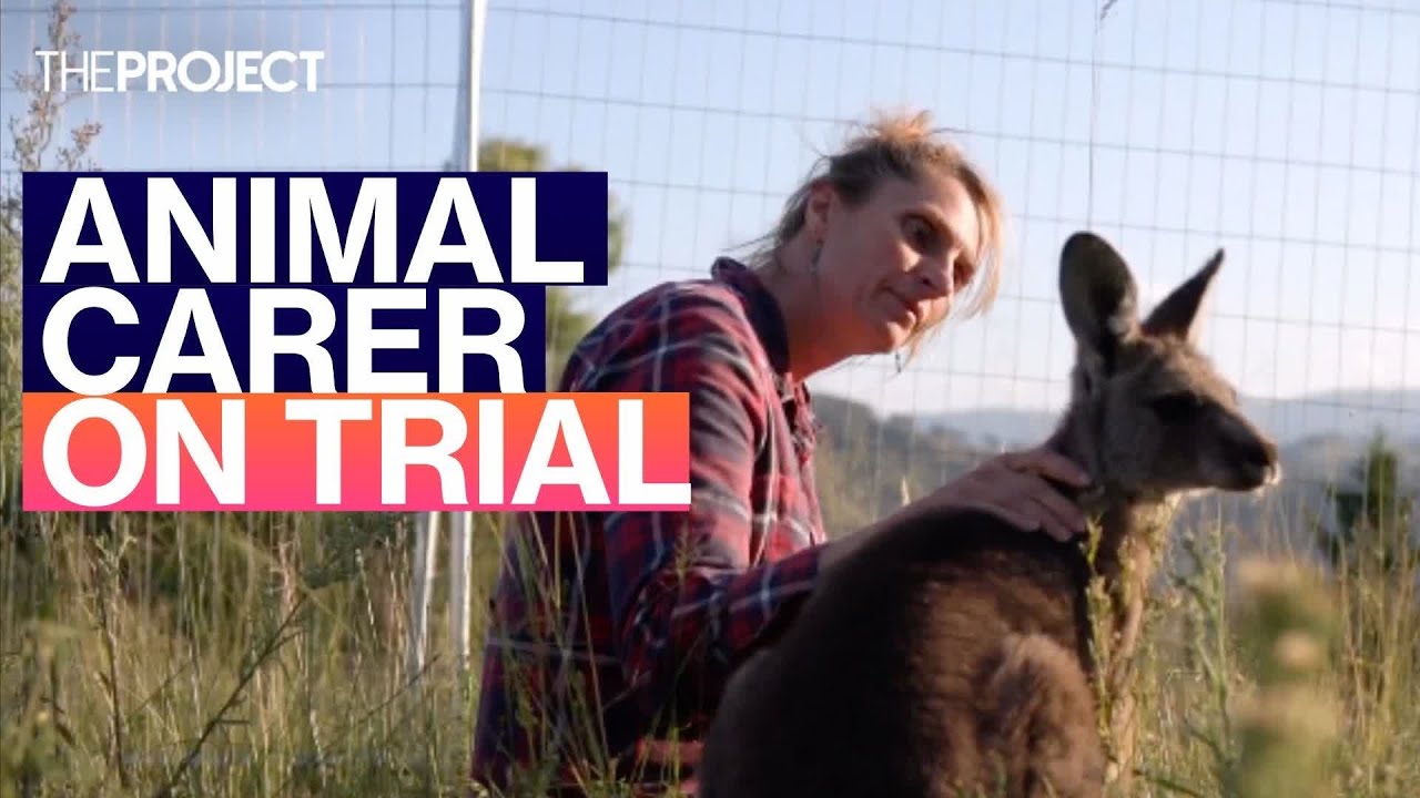 Animal Cruelty Conviction Impacts Volunteers